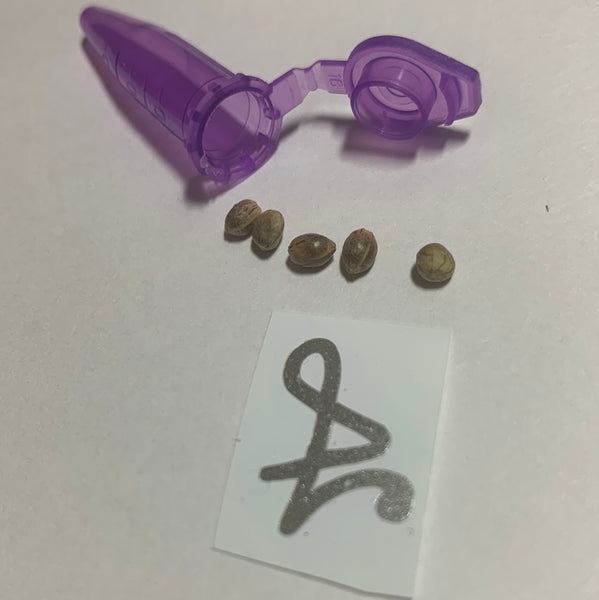 34mm CS Pot Leaf (Beer Belly Shape)