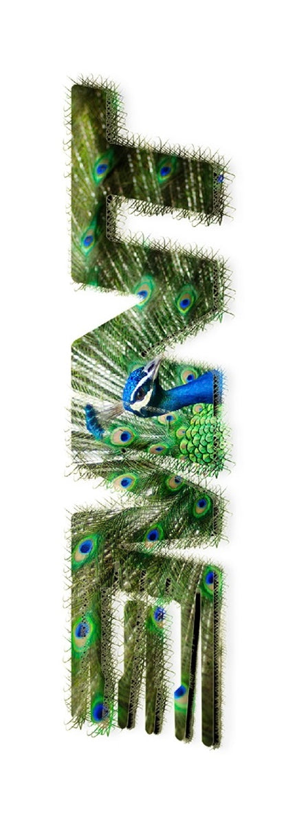 Add 1 Heat Transfer Graphic per Blank Deck