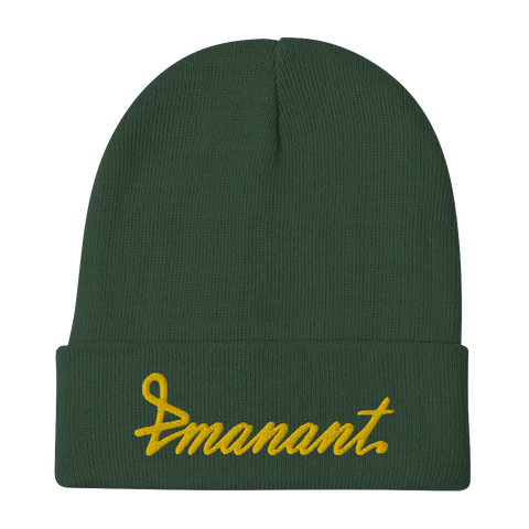 Embroidered Emanant Beanie
